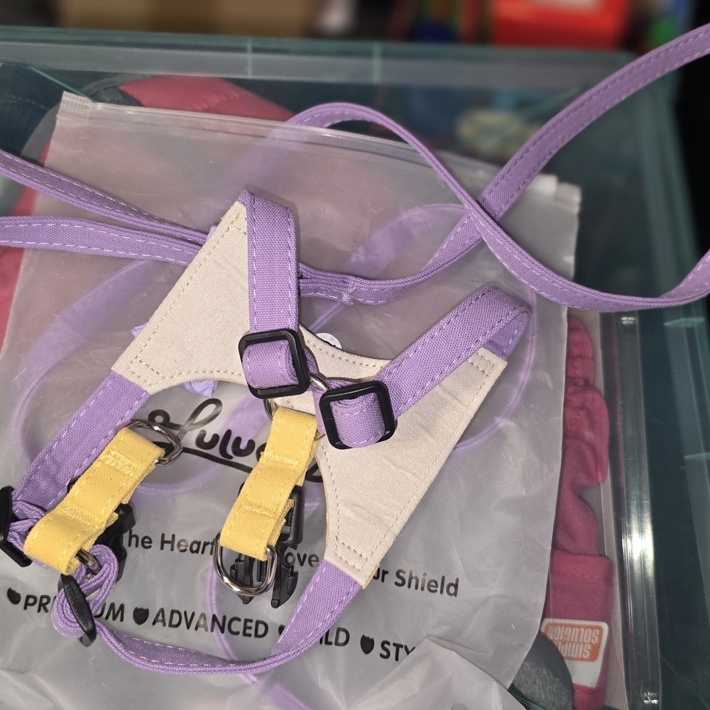 Dog Lavender and Yellow Harness